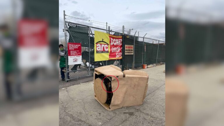 Denver Thrift Store Workers Check Donated Recliner And The Next Moment Makes Them Stop Cold
