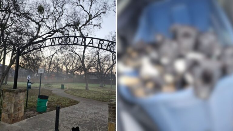 Soft Cries From Trash Can Lead Texas Man To A Heartbreaking Discovery He’ll Never Forget