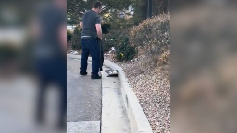 Utah Family Sees Motionless Pile Of Feathers In Drive-Thru And Decides To Take A Closer Look