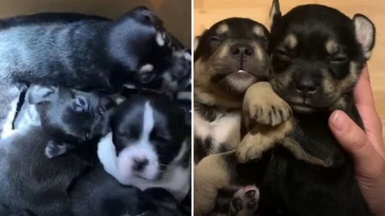 North Carolina Local Spots Old Box Left Outside Their Building And Goes To See What’s Inside