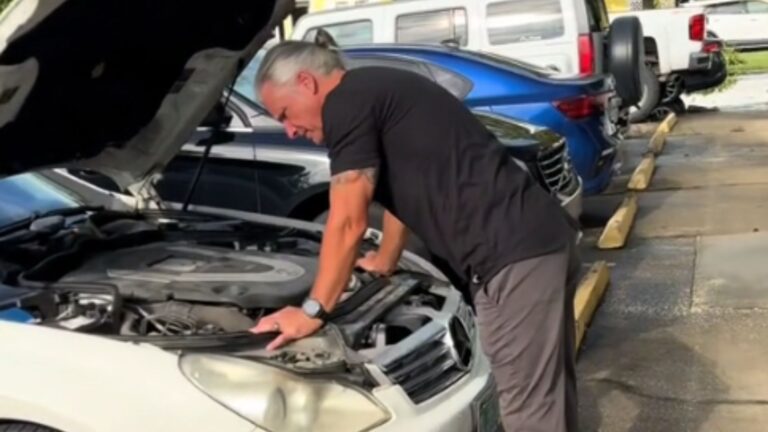 Georgia Mechanic Hears Tiny Cries From Car Engine, Then Sees Two Eyes Peeking Out