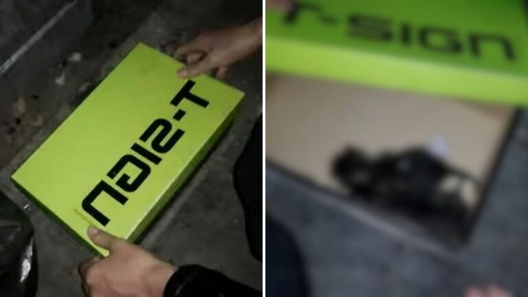 Texas Couple Hears Cries From Dumpster At 3 AM And Finds Shoebox With Shocking Contents