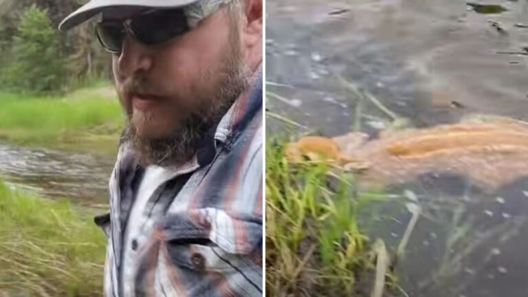 Idaho Hunter Heard A Faint Sound By The River, The Next Moment Took Him By Surprise