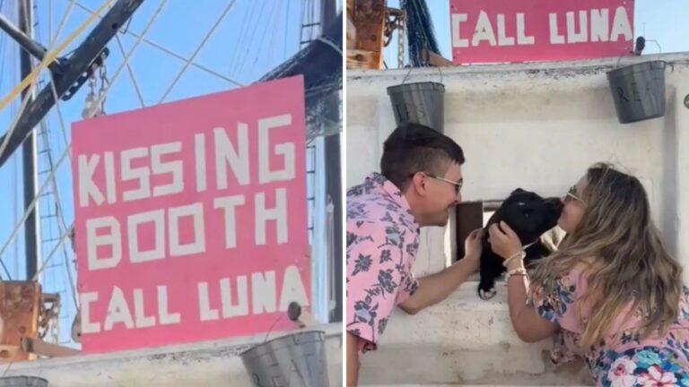 Tourists Stop To Admire A Boat In Florida, Then An Unexpected Furry ‘Owner’ Shows Up
