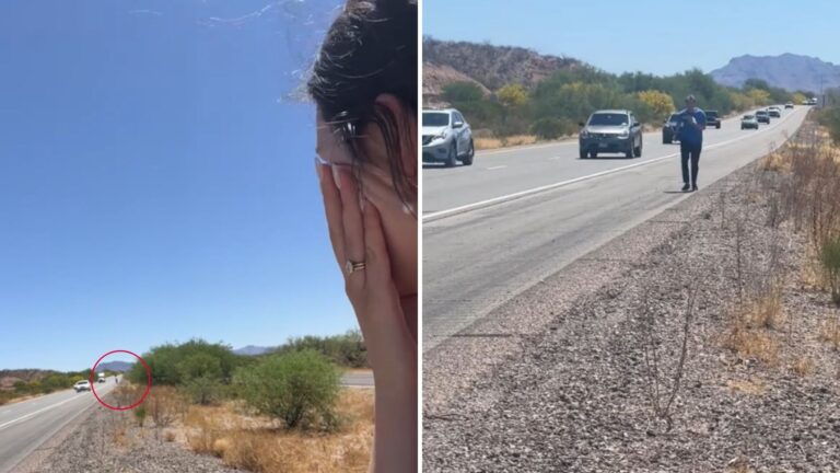 Man Jumps From His Car After Realizing Something’s Lying In The Middle Of A Road In California