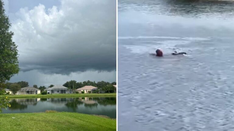 Florida Man Sees Something Unusual In The Middle Of A Gator-Filled Lake And Instantly Jumps In