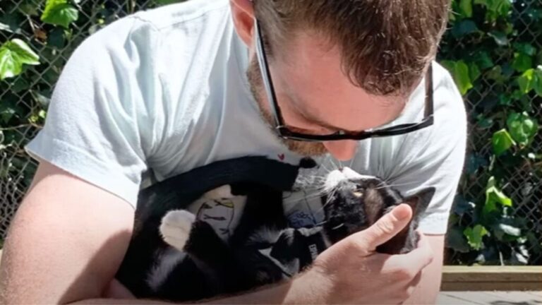 California Man Travels 500 Miles To Rescue A Cat, Then Faces Unexpected Challenge At Home