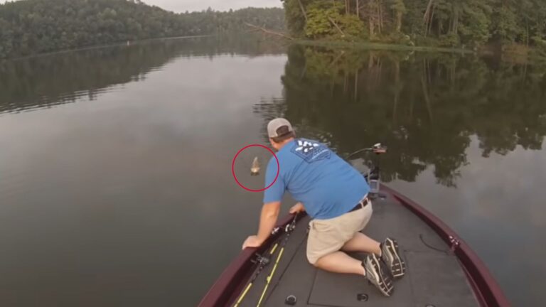 Alabama Friends Go Fishing And Suddenly See Something They Never Expected Swimming Toward Them
