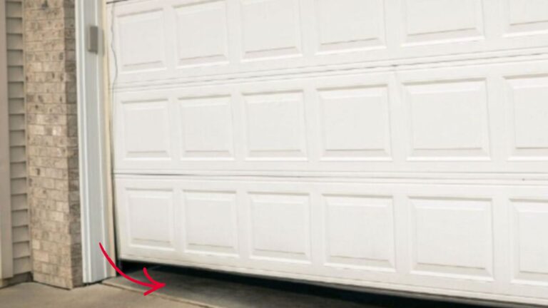 Michigan Homeowner Opened Garage Door But What He Was About To Face Caught Him Off Guard