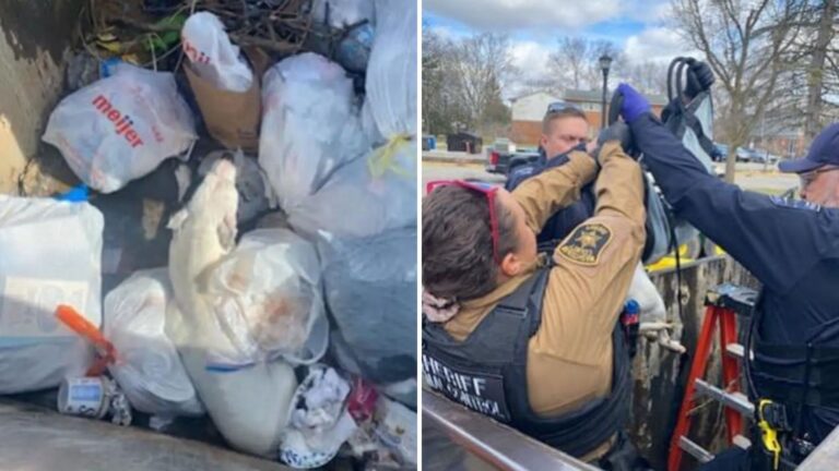 Michigan Officers Lift Dumpster Lid And Find A Tiny Life In Need Of Urgent Help