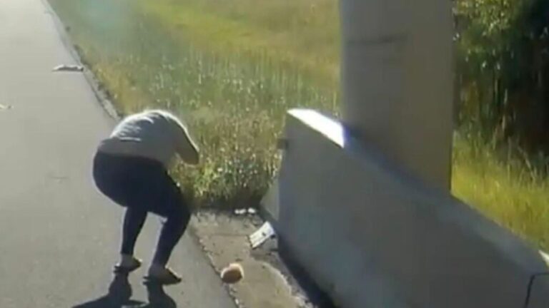 Texas Couple Sees Two Motionless Shapes Lying By The Roadside And Pulls Over To Investigate