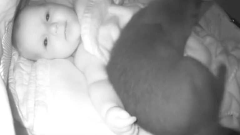 TikTok Goes Wild After Oregon Mom Sees Something Unexpected In Baby’s Crib And Shares It Online