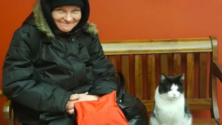 Stray Cat Sneaks Into Ohio Nursing Home And No One Expected What Happened Next