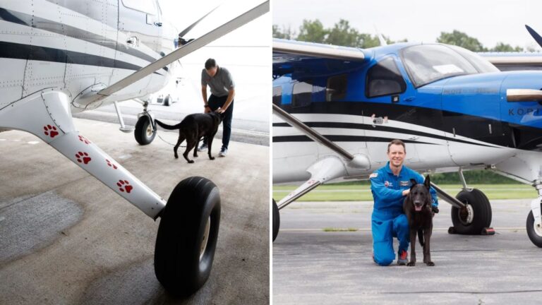 Internet Can’t Stop Talking About NYC Pilot Who Uses His Aviation Skills To Save Animals