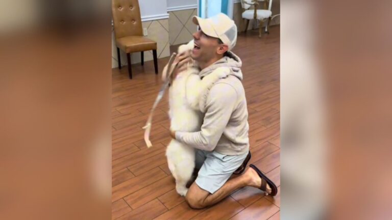 Florida Pup Finishes First Day At Daycare, Now Watch His Reaction When He Finally Sees His Dad