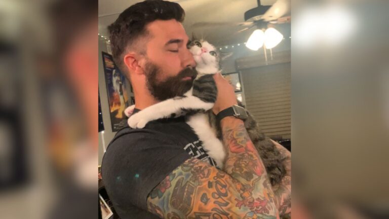 Maryland Woman Adopts A Kitten But Things Take Unexpected Turn Once Her Husband Gets Involved