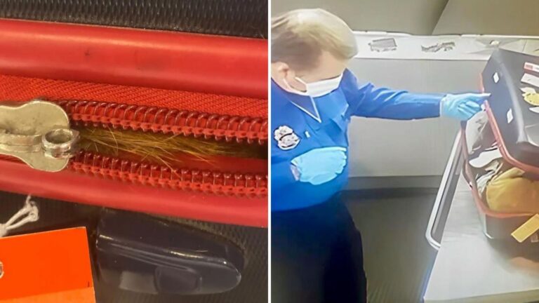 NY Airport Staff See Something Odd During Suitcase Screening And Make A Shocking Discovery
