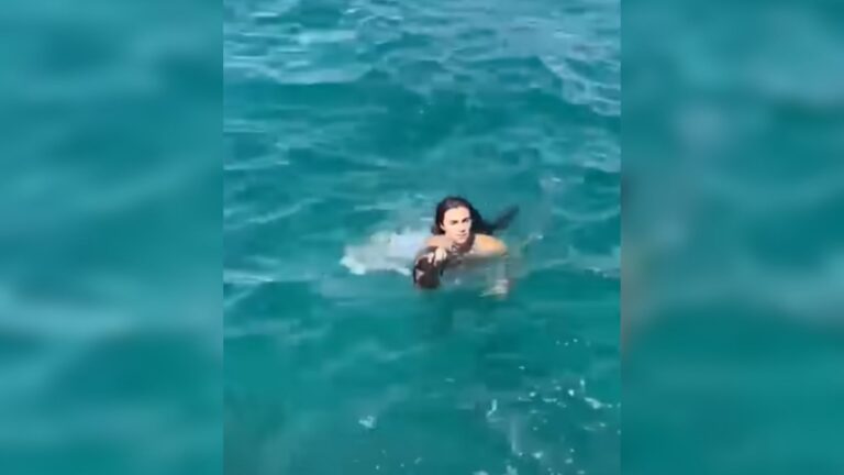 California Tourist Spots Something Struggling In The Sea And Jumps In Without Thinking