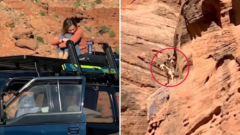 Couple Hears Yipping Sounds In Colorado Canyons And Gets Chills When They Look Up The Cliff