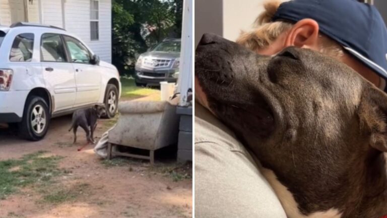 North Carolina Woman Buys Chained Pregnant Dog For $23, Then Realizes She’s Worth The World