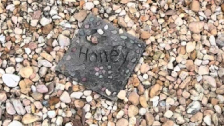 Florida Woman Finds Dog’s Grave In The Yard Of Her New Home, Then Starts Searching For Answers