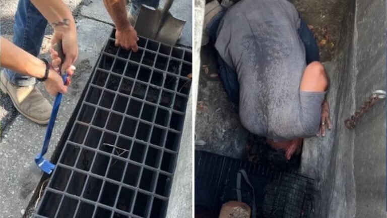 Florida Woman Hears ‘Sound’ From Storm Drain, Gets A Strange Feeling And Turns Back To Check