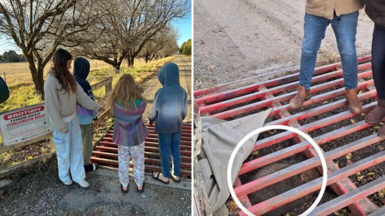 Texas Kids Go To Check Mailbox And Discover Something Alive Stuck Beneath Cattle Grate
