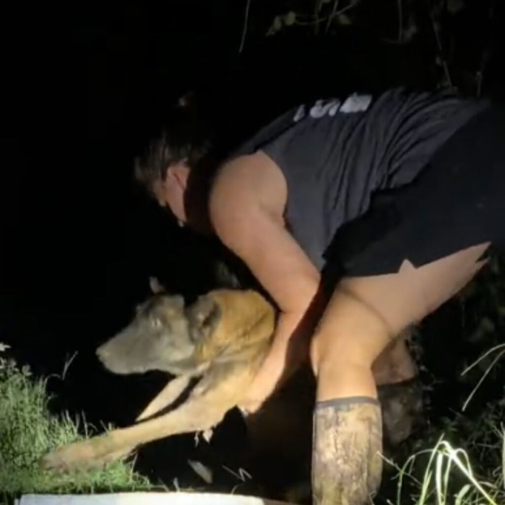 woman lifting a dog