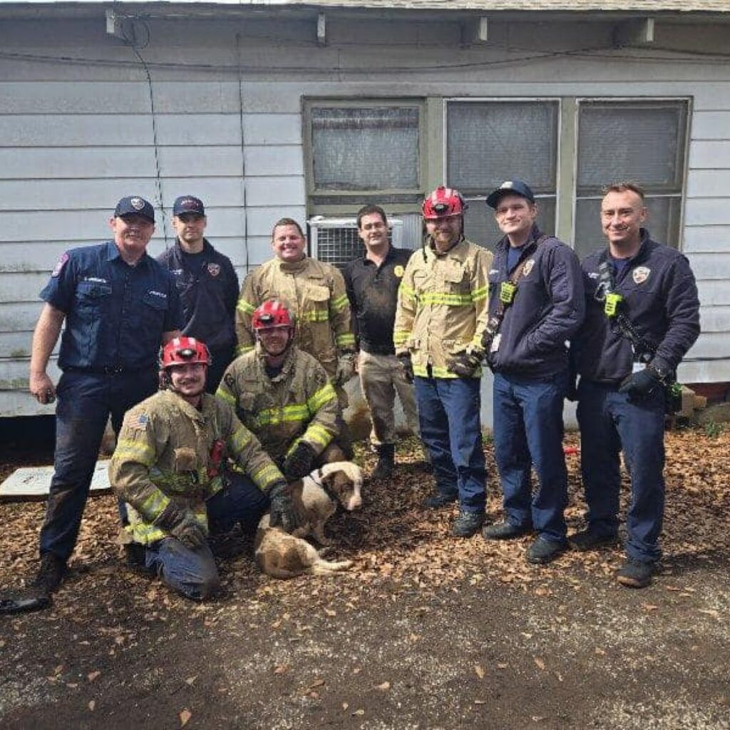 rescuers with a dog outside a house
