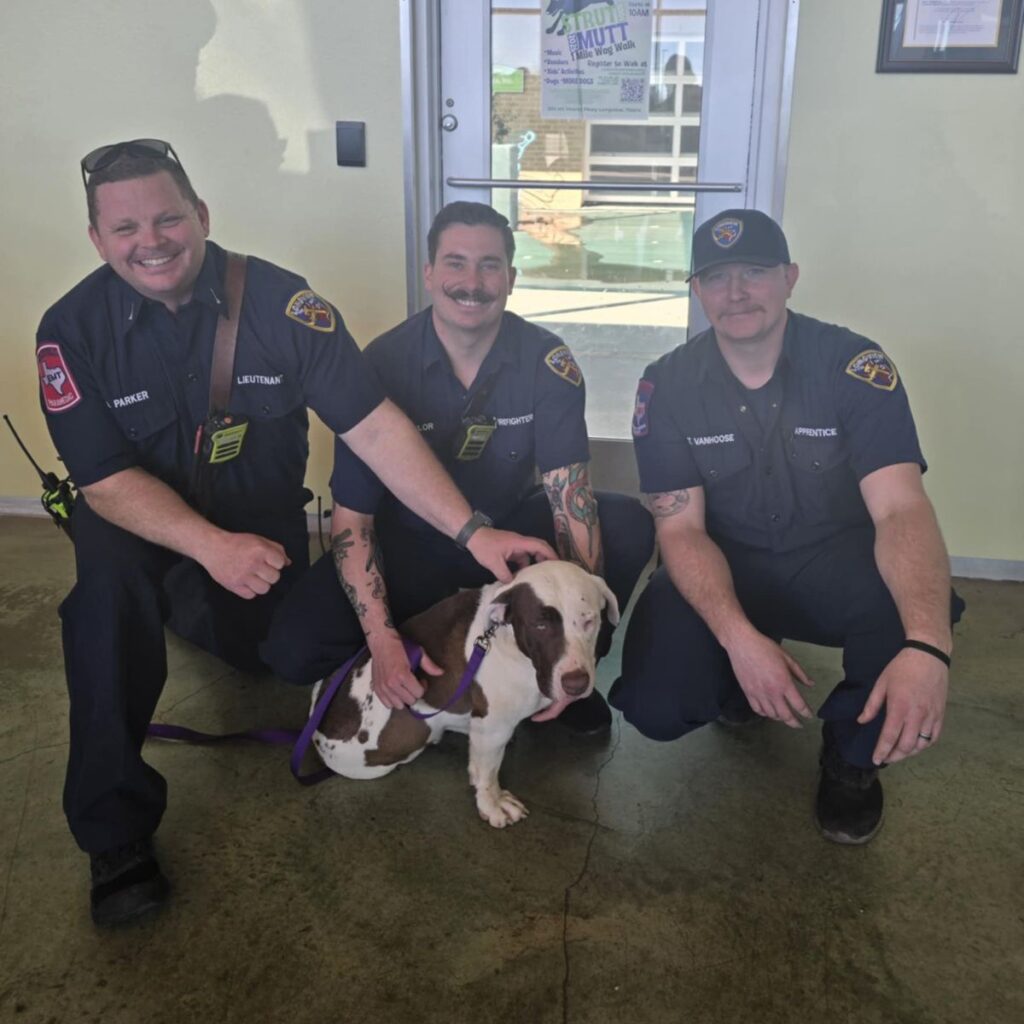 animal control officers with a dog