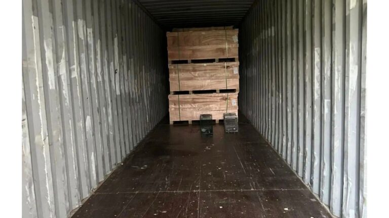 Minnesota Crew Checks Shipping Container From 7,000 Miles Away And Can’t Believe Their Eyes