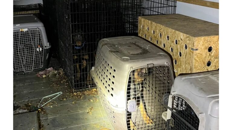 Oregon Police Investigate Stolen U-Haul, Then Hear Faint Sounds Coming From Inside