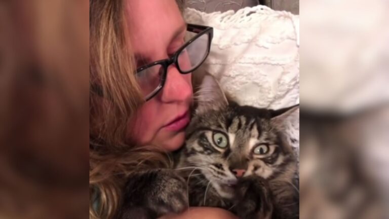 Texas Woman Pays Only $20 To Adopt Blind Cat, Then Realizes How Special He Is