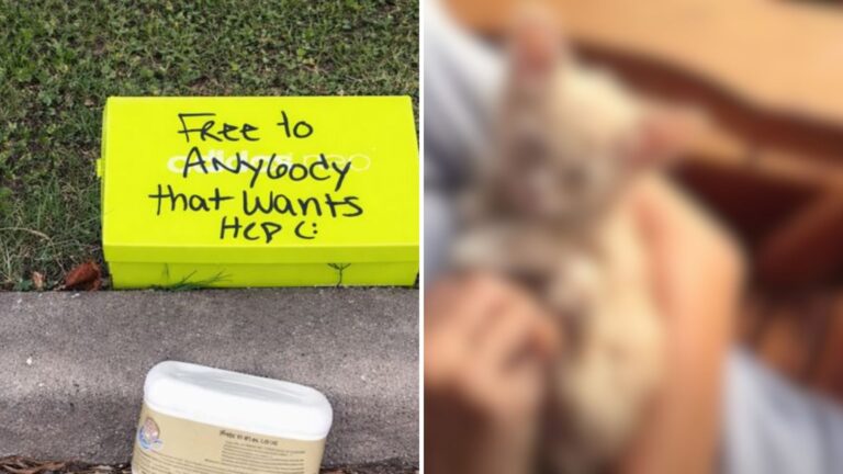 Texas Passerby Nearly Walks Past A Box Left On Curb Until They See A Strange Note On The Lid