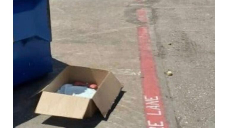 Texas Woman Followed Her Dogs To A Box Sitting Near Dumpster And What She Saw Made Her Freeze