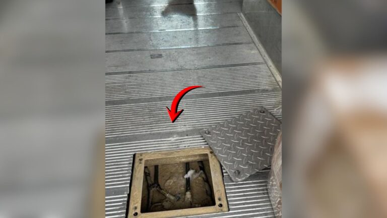 Illinois Driver Investigates Odd Sound In His Truck And Makes A Shocking Discovery