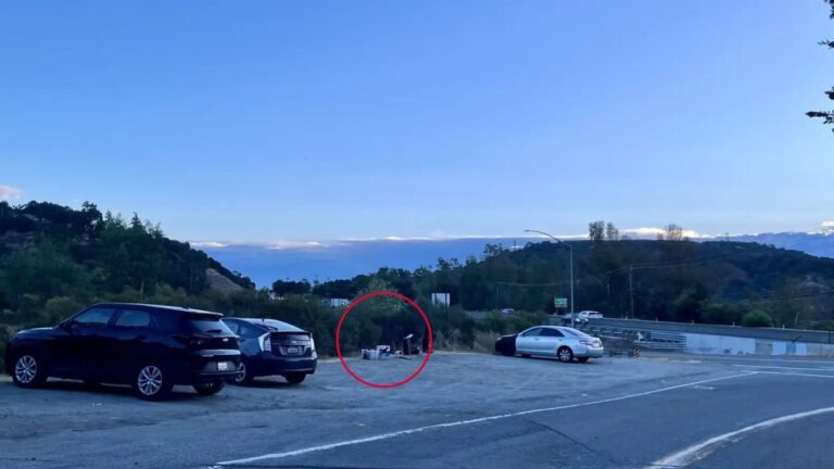 California Couple Finds Five Fluffy Siblings Dumped In Parking Lot And Acts Fast