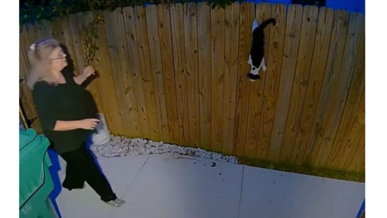 New Jersey Woman Hears A Terrifying Scream At Night And Rushes Outside To A Heartbreaking Scene