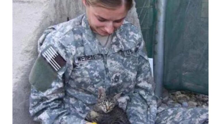 Colorado Soldier Finds Disabled Kitten Days Before Deployment In Afghanistan And Can’t Walk Away