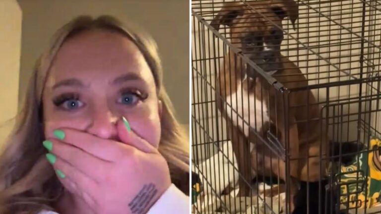 Indiana Woman Looks Inside Her Dog’s Crate And Can’t Believe What’s Curled Up Beside Her