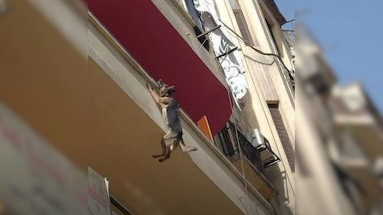 Dog Hangs By Chain On 3-Floor Balcony In Texas, Desperately Trying To Break Free From Neglect