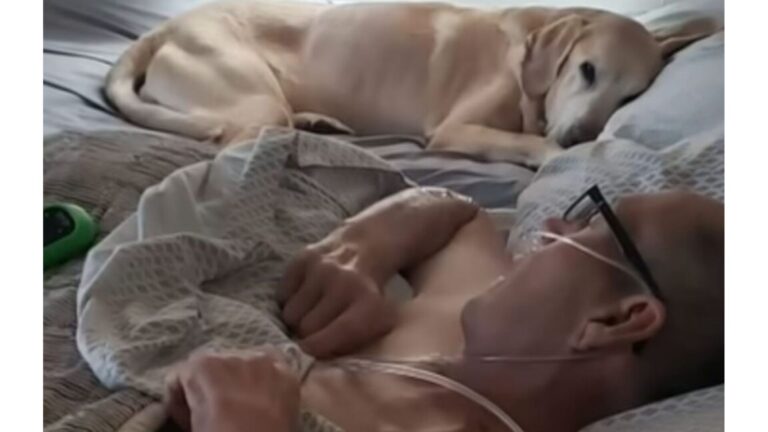 Minnesota Dog Passes Away Moments Before His Owner, And Their Bond Leaves Everyone In Tears