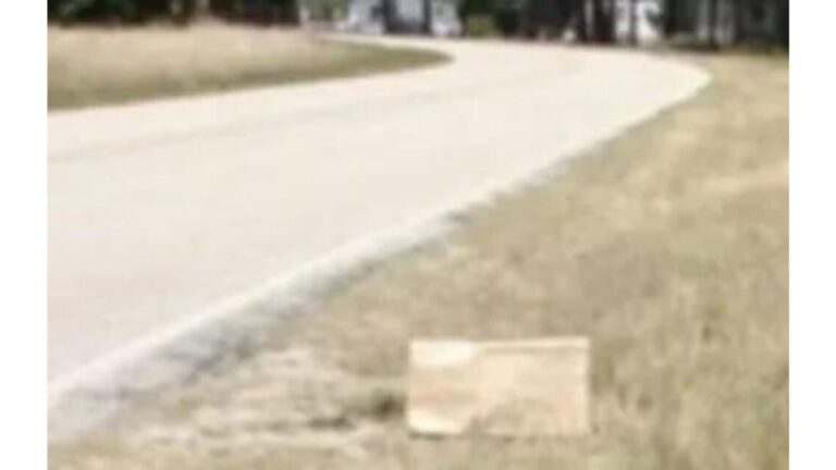 North Carolina Man Sees A Paper Bag By The Roadside, Gets A Bad Feeling, And Goes To Check