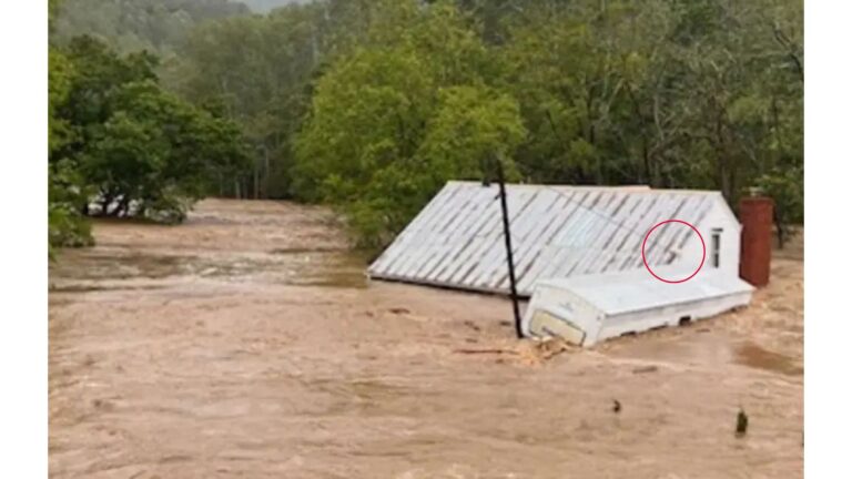 Family Left Shocked After Seeing Their Cat Float Away On Roof During Flood In North Carolina