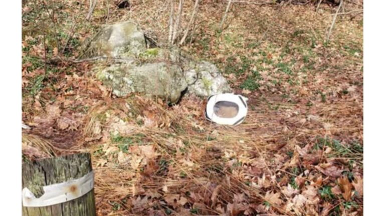 Connecticut Woman Sees An Old Carrier In A Ditch And Keeps Walking Until Something Inside Moves