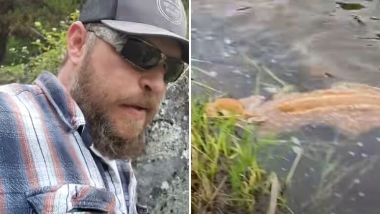Hunter Heard Faint Sounds By The River In Idaho And The Next Minute Took Him By Surprise