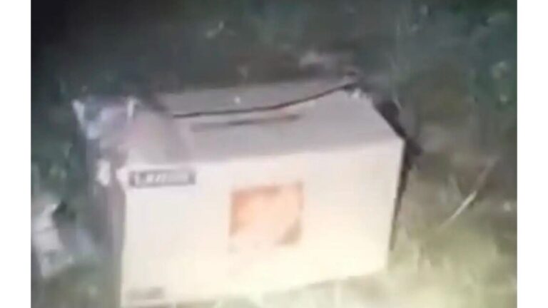 Woman Notices Old Box In Dark Alley In Indiana And Finds Something She’ll Never Forget