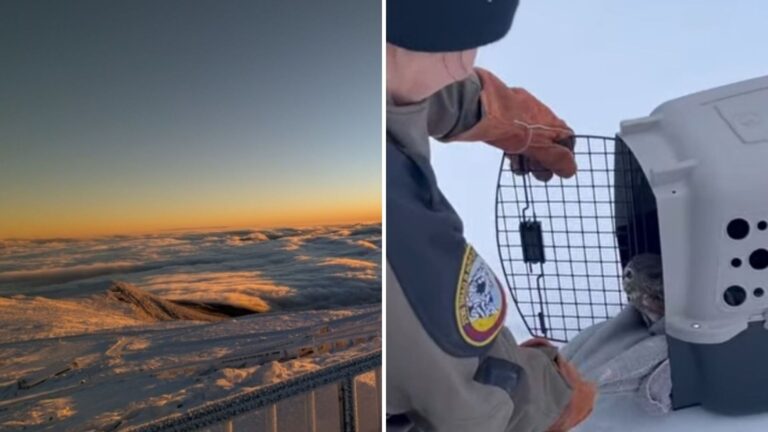 New Hampshire Interns See Strange Bump Poking Out From Snow And Something Doesn’t Feel Right