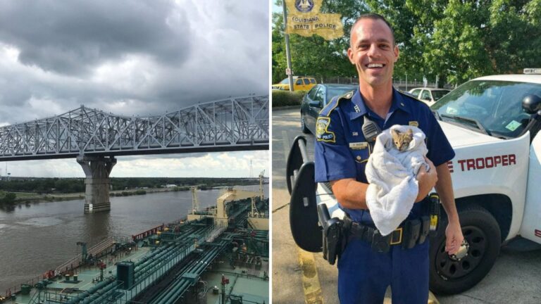 Tiny Kitten Stranded On A Bridge Sparks Urgent Rescue Mission By Louisiana Heroes
