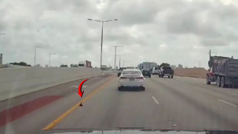 Driver Sees Tiny ‘Speck’ On Highway In Florida, Gets A Strange Feeling And Decides To Stop